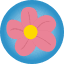 نماد آلیس
