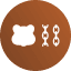 نماد براچین