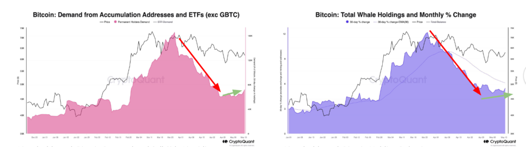 وضعیت نهنگ‌های بیت کوین - منبع: CryptoQuant