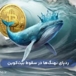 رد پای تراکنش نهنگ‌ها در سقوط بیت کوین