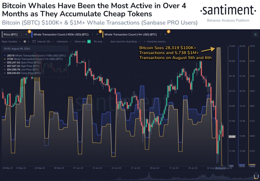 پست x پلتفرم onchain Santiment