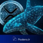 یک مِگا نهنگ با ۵۵ میلیون دلار وارد بازار ریپل (XRP) شد!