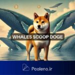 نهنگ‌های ۵۶ میلیون دلاری دوج‌کوین؛ آیا این انباشت به صعود DOGE کمک می‌کند؟