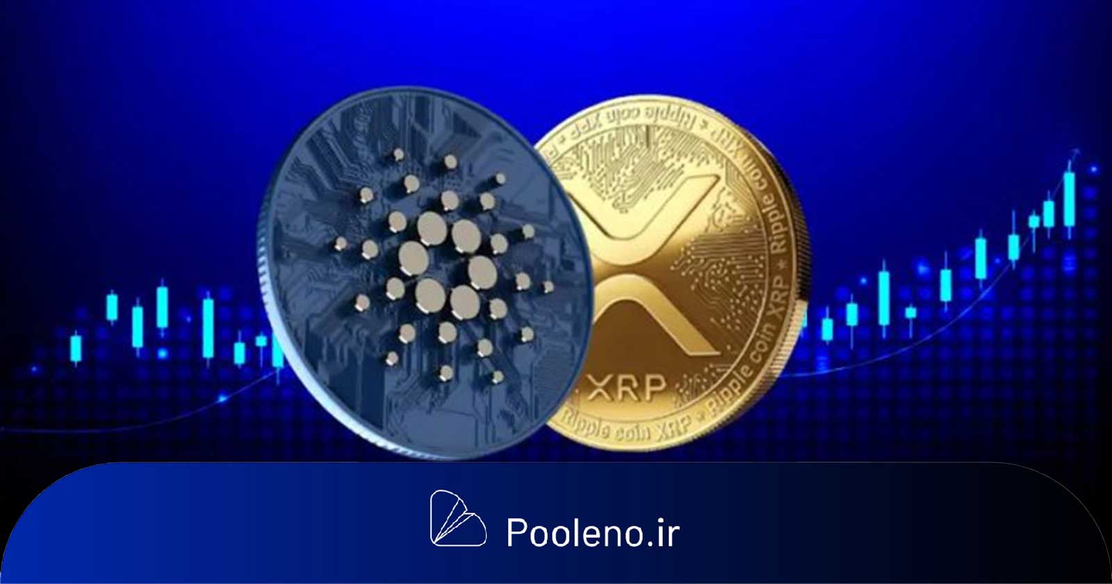 کاردانو و XRP با رشد ۲۰۰ درصدی از بیت‌کوین پیشی گرفتند