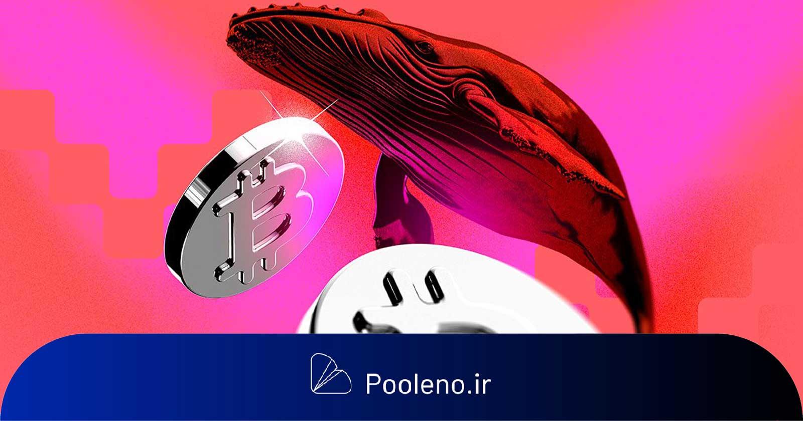 نهنگ‌ها ۵۴۰ میلیون دلار بیت کوین فروختند!